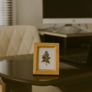 khung Ảnh Ép lá mini